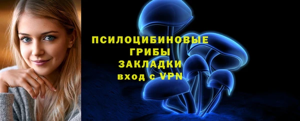 молекула духа Белоозёрский