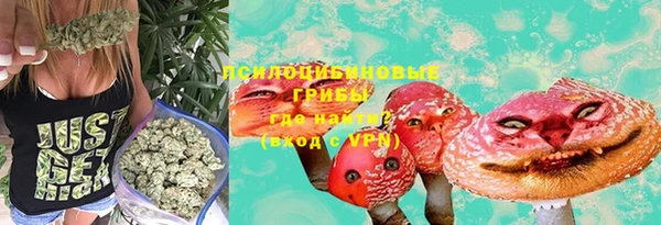 хмурый Белокуриха