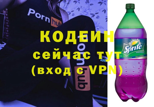 хмурый Белокуриха