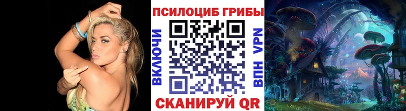 МЕГА как войти  Городовиковск  Псилоцибиновые грибы MAGIC MUSHROOMS  где найти наркотики 