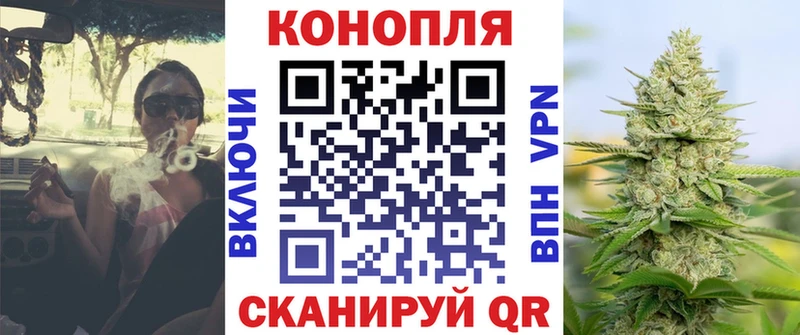 купить   Городовиковск  Канабис Amnesia 